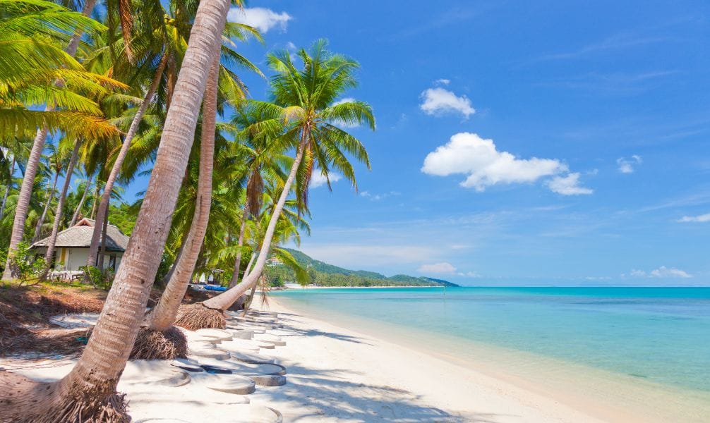 Thailand - Koh Samui Januar 2025